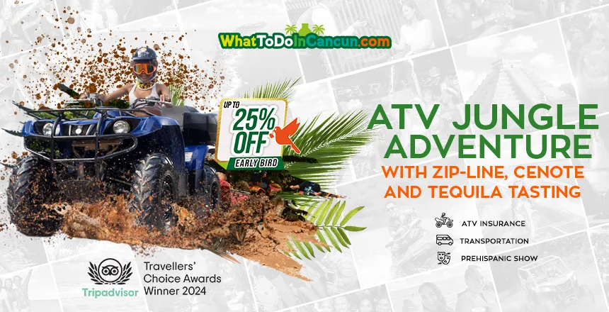 tour atv jungle adventure and ziplines