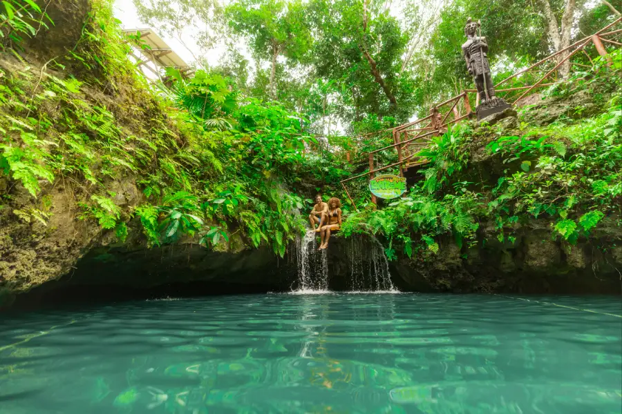 Imagen de  Experiencia en 3 Cenotes con Cascadas