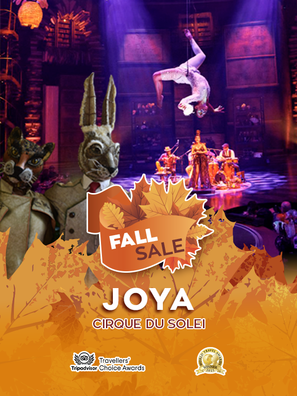 cirque du soleil joya show experience