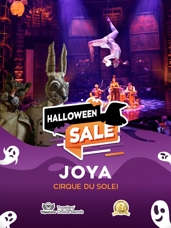 cirque du soleil joya show experience