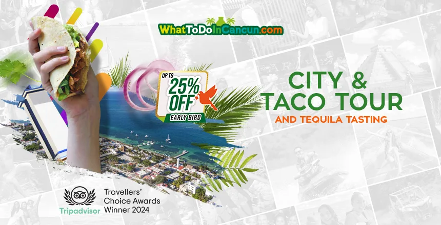 tour city taco and tequila tasting puerto morelos
