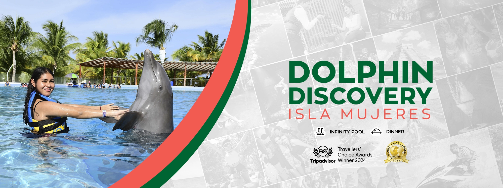 dolphin discovery in isla mujeres