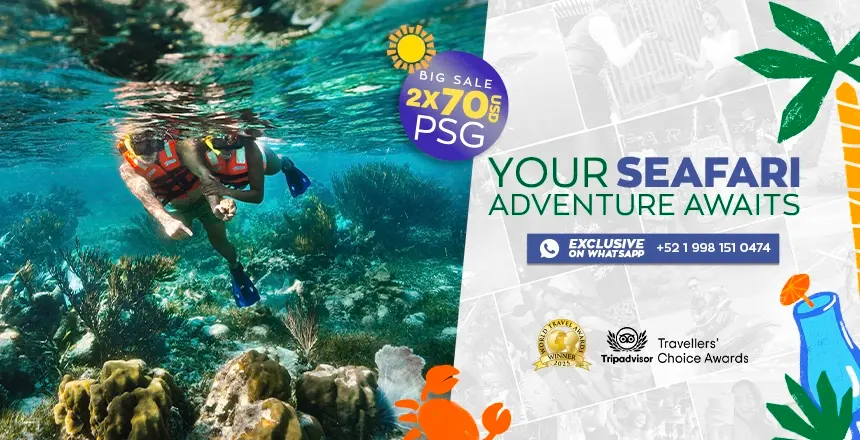 tour puerto morelos reef snorkel adventure