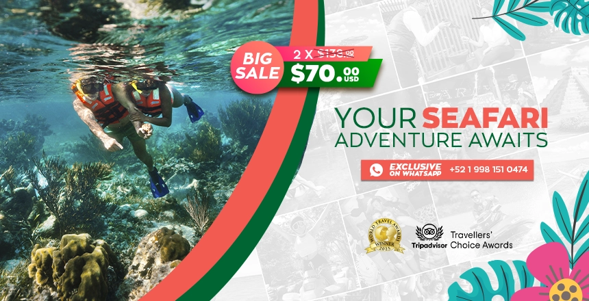 tour puerto morelos reef snorkel adventure