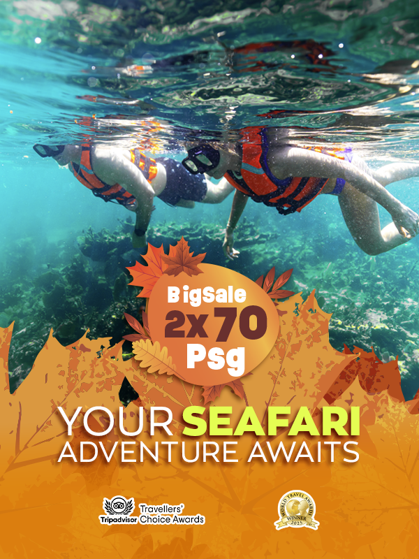 tour puerto morelos reef snorkel adventure