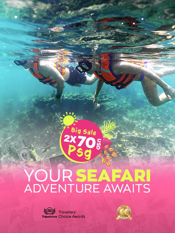 tour puerto morelos reef snorkel adventure