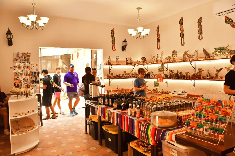 Imagen de Aventura en la Jungla en ATV con Tiroleza, Cenote y Degustación de Tequila