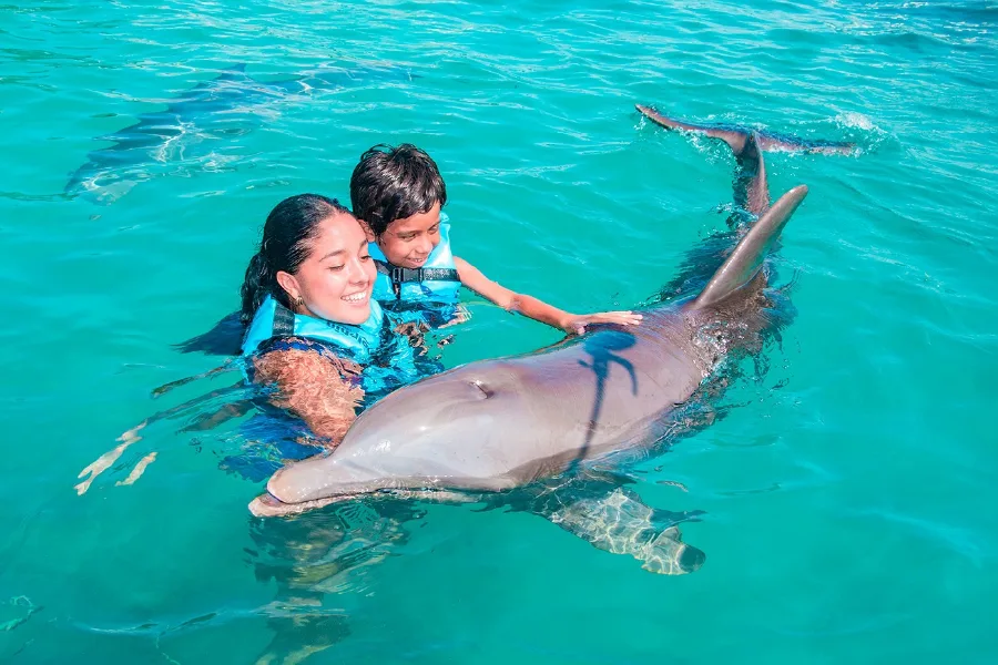 Dolphin Discovery in Cozumel swimming with dolphins