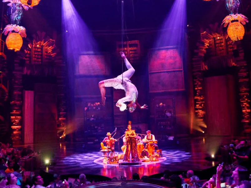 cover of Cirque du Soleil JOYA