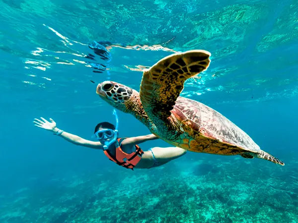cover Tulum, Cenote Mariposa & Sea Turtle Sanctuary Swim