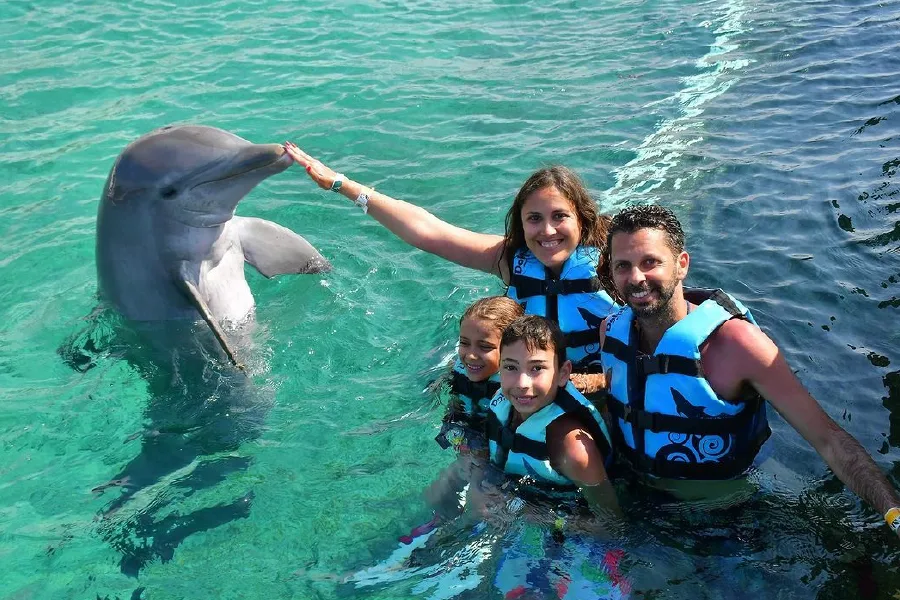 Nado con delfines en Isla Mujeres, Cancun
