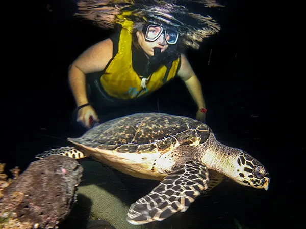 cover private night snorkel tour