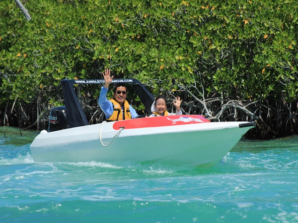cover speedboat mangrove jungle tour cancun