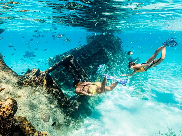 cover Cancun Coral Reef and Shipwreck Snorkeling Tour