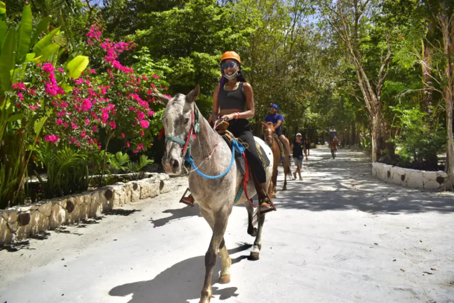 cover Horse ride adventure