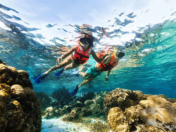 portada Aventura de Snorkel en el Arrecife de Puerto Morelos a 15 minutos de Cancún